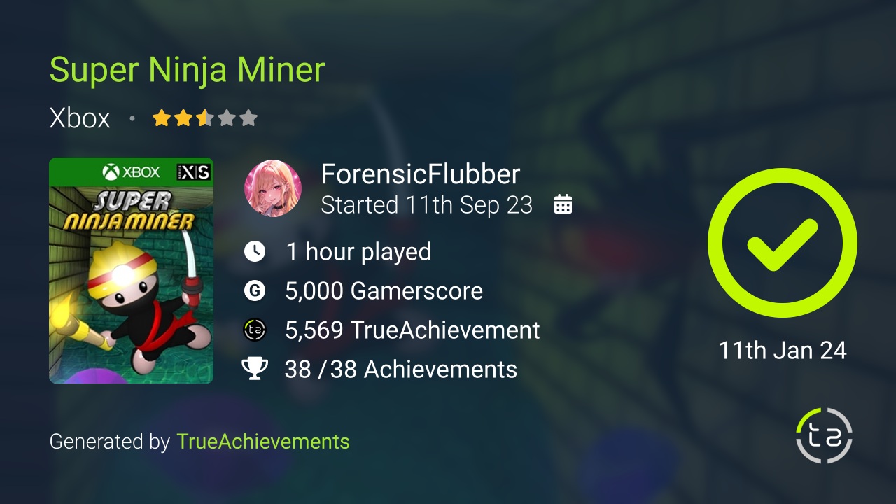 Super Ninja Miner achievement summary